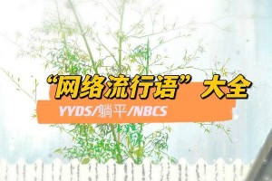 2023网络流行语缩写大全：躺平、内卷、yyds等30个必备黑话